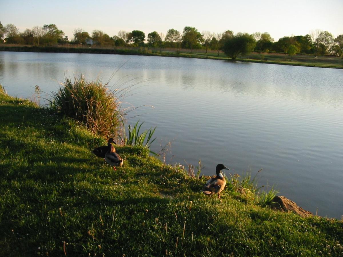 Camping Du Lac De Saujon Eksteriør bilde